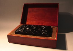 2010-Monument to the Future (Specimen 1)