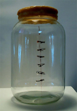 Jessica Goldfinch. 'Iatrogenic Dislocation of the Soul' Jessica Goldfinch