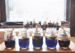 Laura Sansone. Making Natural Dyes jars253